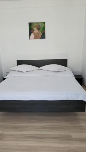 Apartament Pandora